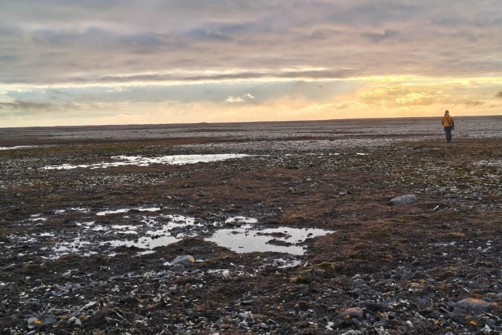 Człowiek przemierzający pustą tundrę Erebus Bay na Wyspie Króla Williama, miejsca związanego z ekspedycją Franklina