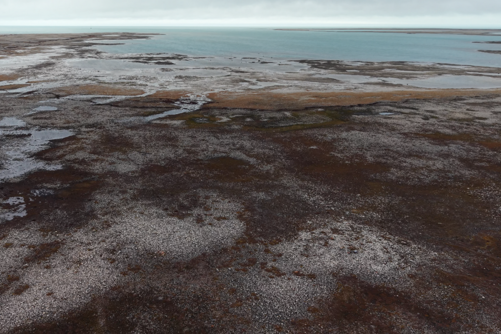 Erebus Bay na zachodnim wybrzeżu Wyspy Króla Williama w Nunavut – widok z drona na arktyczną tundrę, rozlewiska i płycizny zatoki