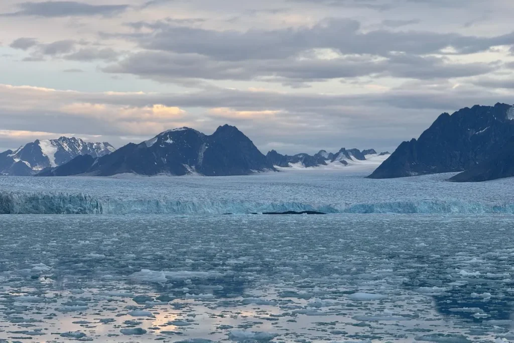 Lodowiec w północnym Svalbardzie o zmierzchu – góry, lód i spokojne morze